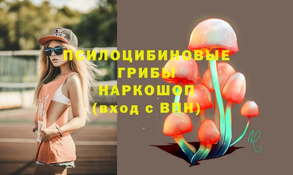 соль ск Абинск