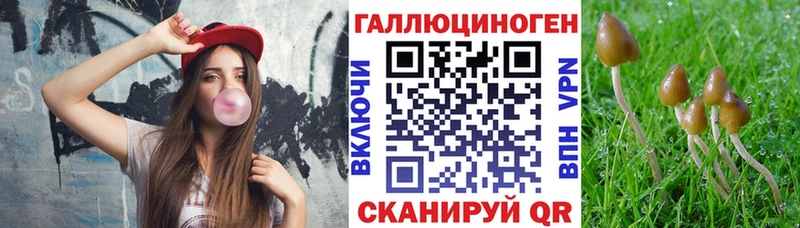 Псилоцибиновые грибы Cubensis  blacksprut сайт  Иноземцево  где найти наркотики 